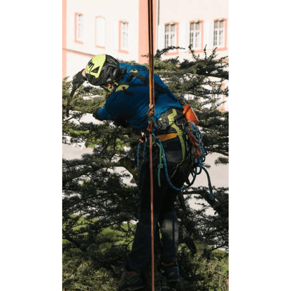 Edelrid Klettergurt TreeRex - gartengeraete.jetzt  - 