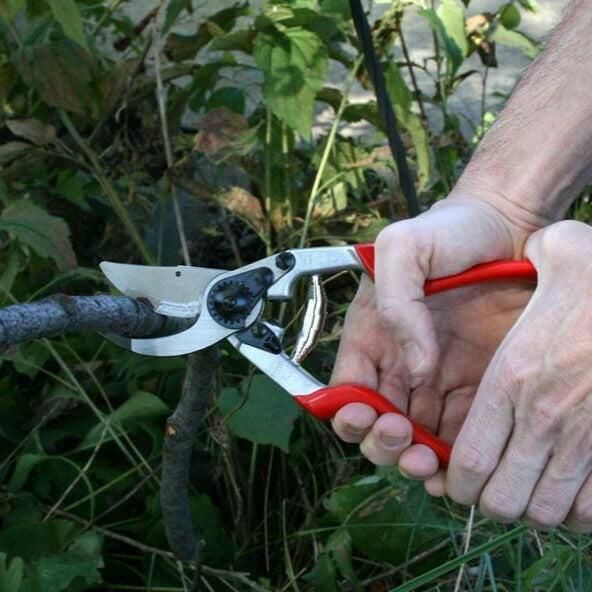 Felco 13 Astschere - gartengeraete.jetzt  - 