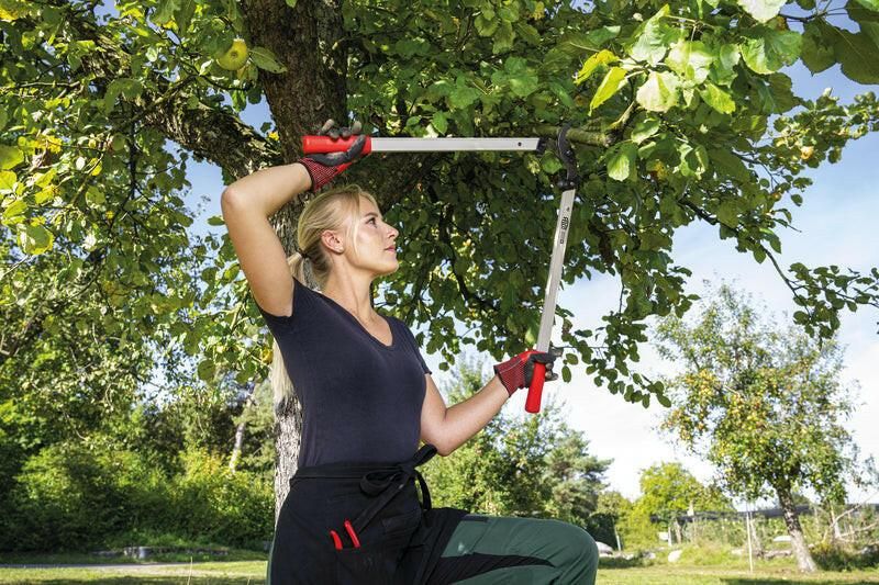 Felco 221-90 Baumschere - gartengeraete.jetzt  - 