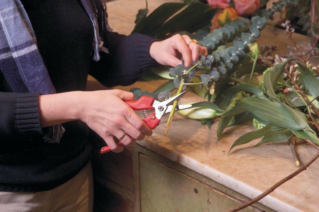 Felco 310 Obst- und Blumenschere - gartengeraete.jetzt  - 