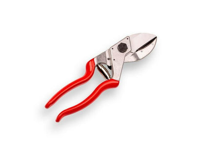 Felco 31 Amboss-Schere - gartengeraete.jetzt  - 