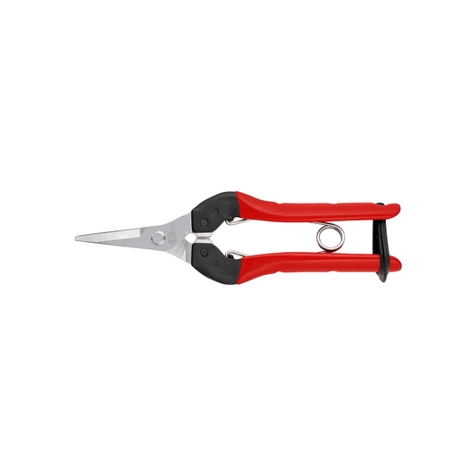 Felco 321 Ernteschere mit gerader Klinge - gartengeraete.jetzt  - Felco