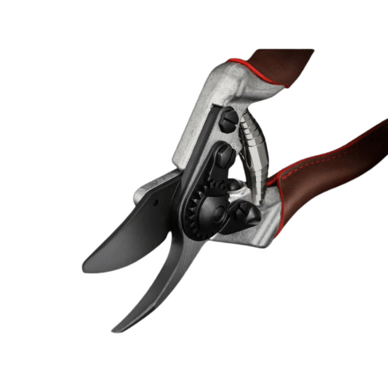 Felco 6 Elite Astschere - gartengeraete.jetzt  - 