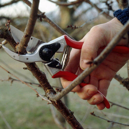 Gartenschere Felco 2 - gartengeraete.jetzt  - 