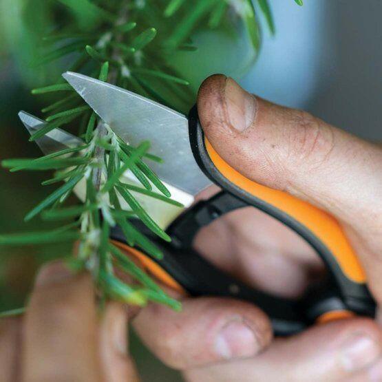 Fiskars Solid Krauter Snip SP-220 - gartengeraete.jetzt  - 