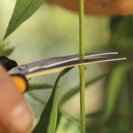 Fiskars Solid Trim-Curved Micro-Tip (SP160) - gartengeraete.jetzt  - 