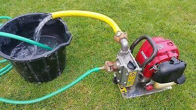 Honda Wasserpumpe WX 10 T - gartengeraete.jetzt  - 